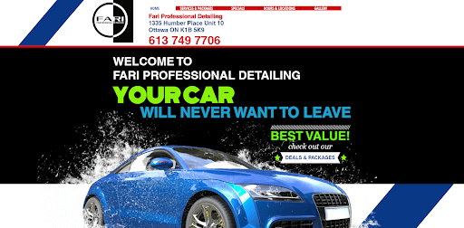 Fari Professional Detailing