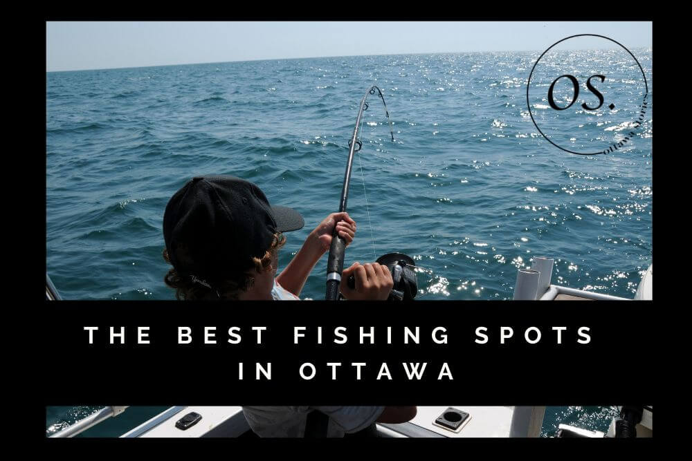 Best Fishing Spots in and Around Ottawa [2022]