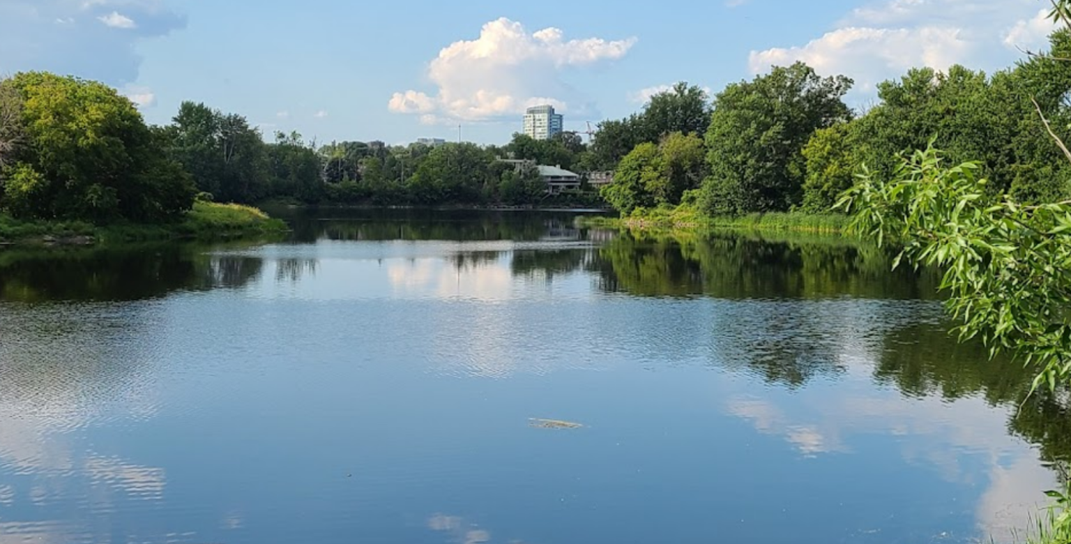 The 5 Best Neighbourhoods in Ottawa [2023]